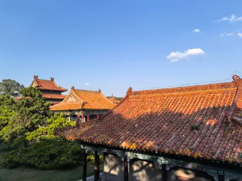 Watching culture and enjoying nature in a park in Shenyang～Beiling Park