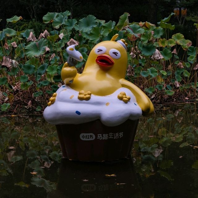 Big Duck Figurines in Shanghai? Yes, Fuxing Park 🦆🦆