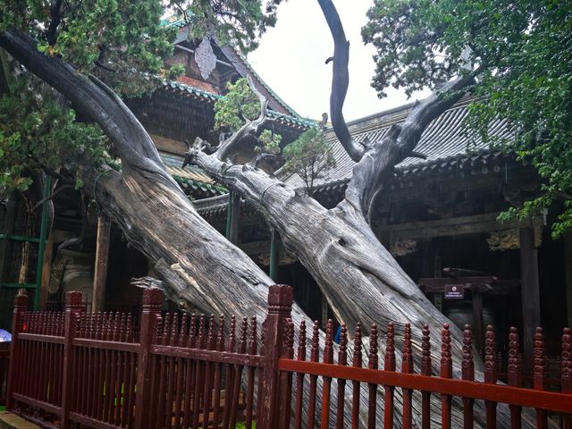 國慶山西自駕遊｜山西太原晉祠博物館