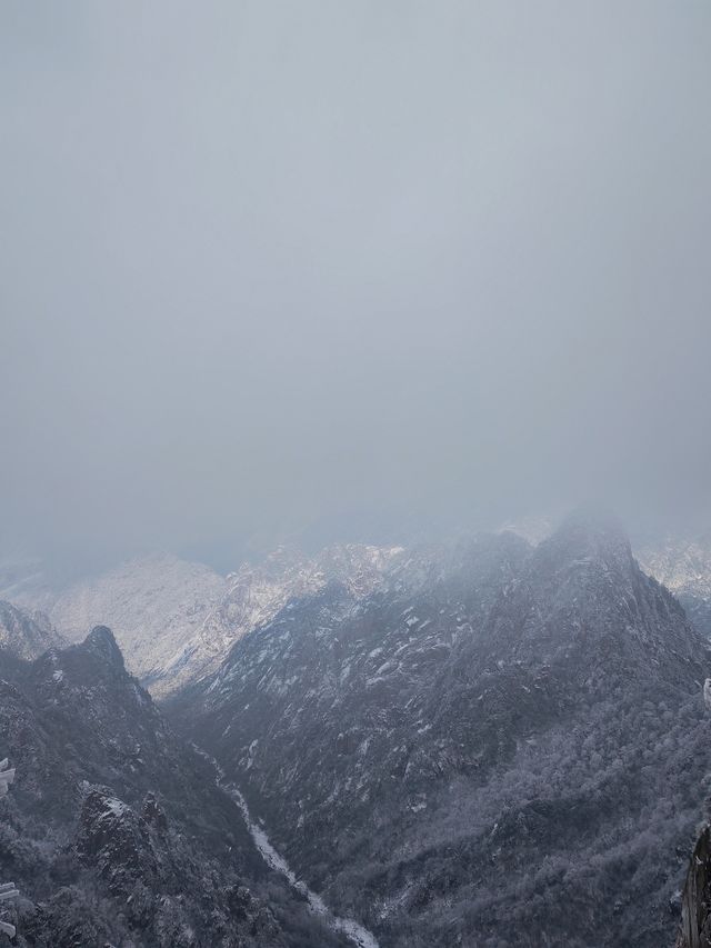 黃山冬日仙境！保姆級雪景攻略+冷門機位大公開 杭州出發2h直達！黃山雪景封神了家人們！ 
