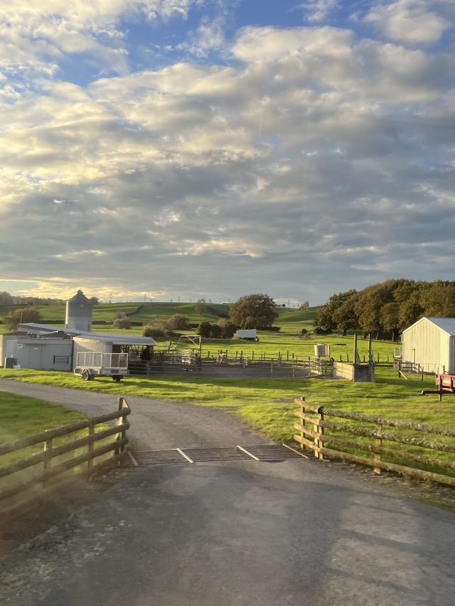 🇳🇿Green Dragon Inn, Auckland: Where Golden Sunsets Meet Enchanted Gardens! 🌅 