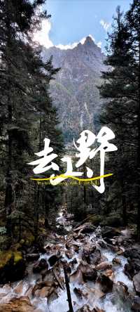 不去這山就去納山