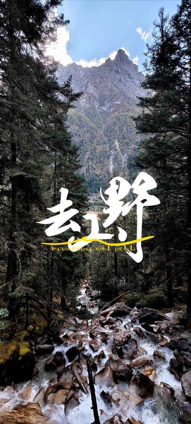不去這山就去納山