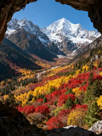 Personally tested, Bipenggou at the end of October is breathtakingly beautiful—the autumn ceiling of Western Sichuan
