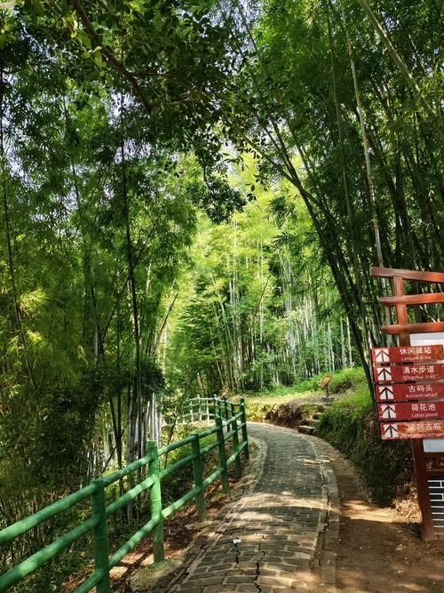 廣東河源窮遊攻略