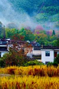 皖南秋日：闖入上帝調色盤的慢時光