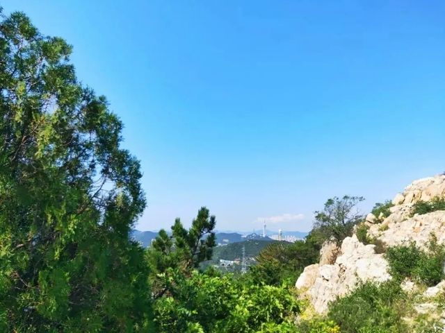 藏在大連市區的百年海防秘地！炮臺山遺址深度漫遊指南