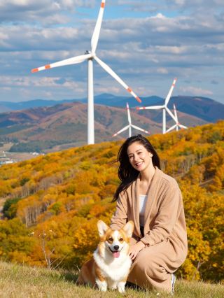 私藏級賞秋地！內蒙古賽罕烏拉讓你獨享整片油畫世界