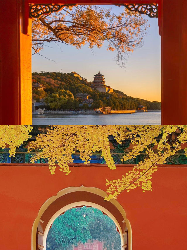 北平秋韻限定！3條私藏賞秋路線，解鎖京城秋日浪漫