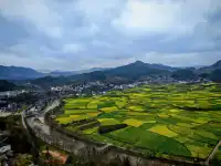 貴陽周邊｜這怎麼不算春天的油畫