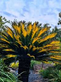 空中步廊俯瞰花草描繪的彩色大地。