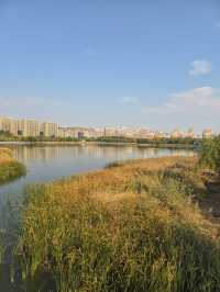 淄博小眾文藝地標攻略-海岱樓鐘書閣