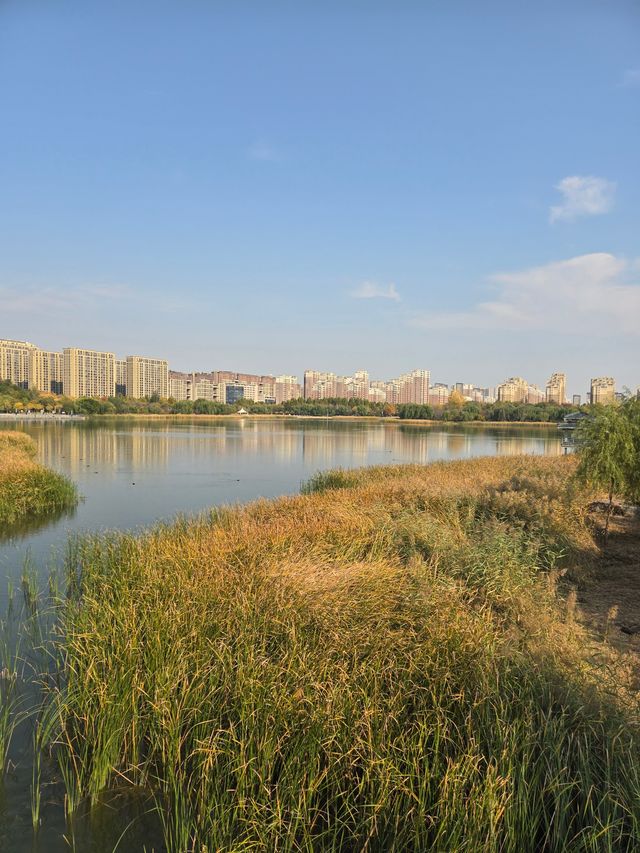 淄博小眾文藝地標攻略-海岱樓鐘書閣 淄博小眾文藝地標攻略-海岱樓鐘書閣