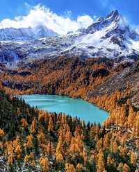 藏在川西深處的秘境！黨嶺3天2夜，解鎖少有人知的極致浪漫