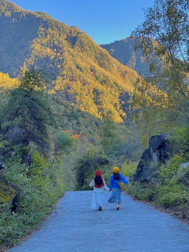 掉進川西紅葉童話成都周邊撿秋攻略！