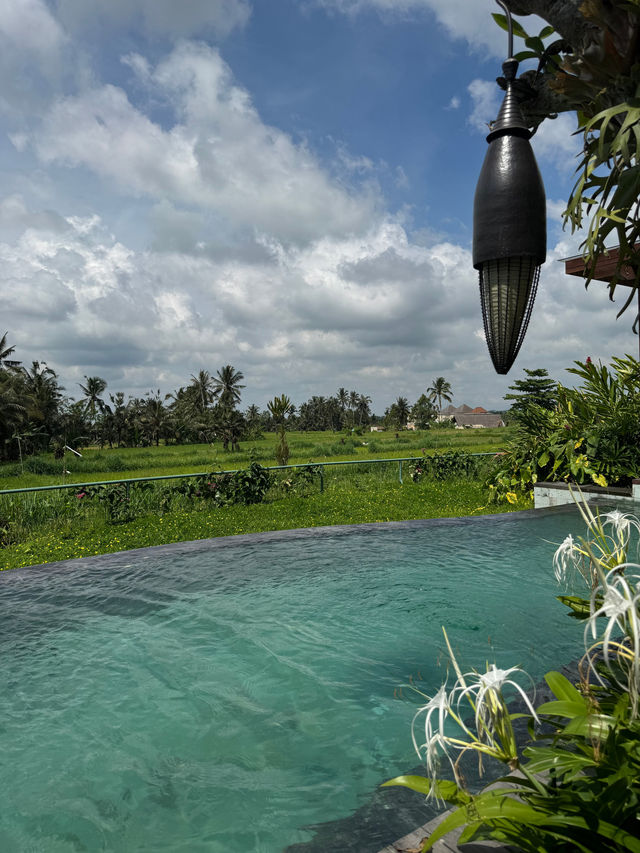 Tranquil Escape at Inara Alas Harum