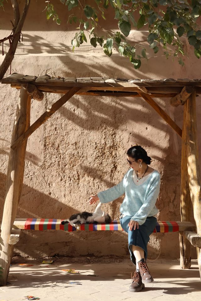 2025南疆庫車_喀什十天胡楊遊 2025南疆庫車_喀什十天胡楊遊