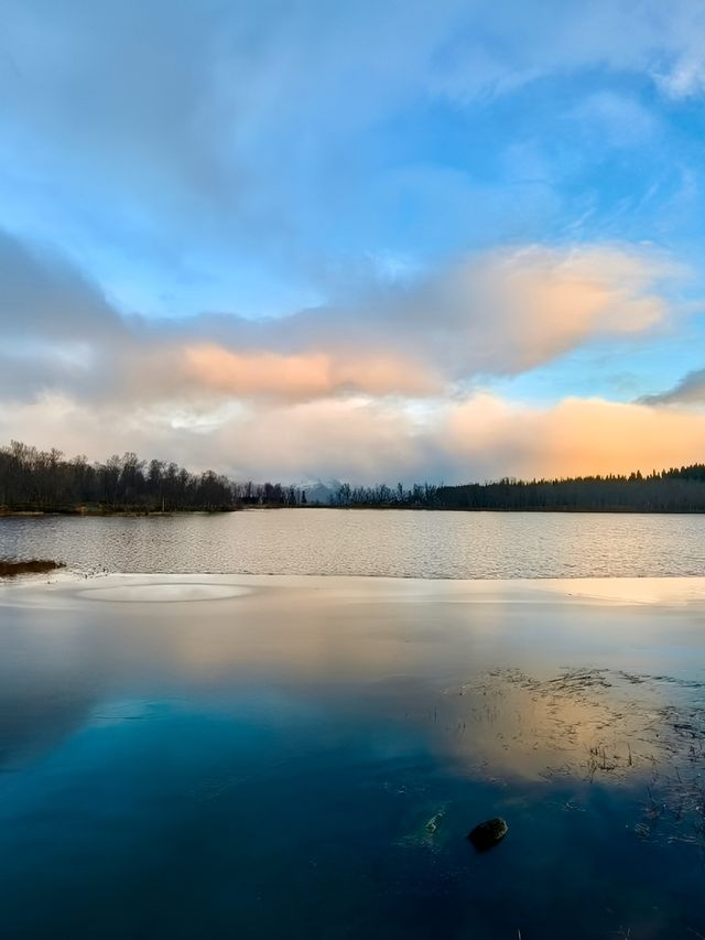 極光森林奇幻夜