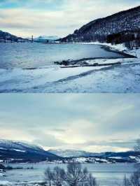 極光森林奇幻夜