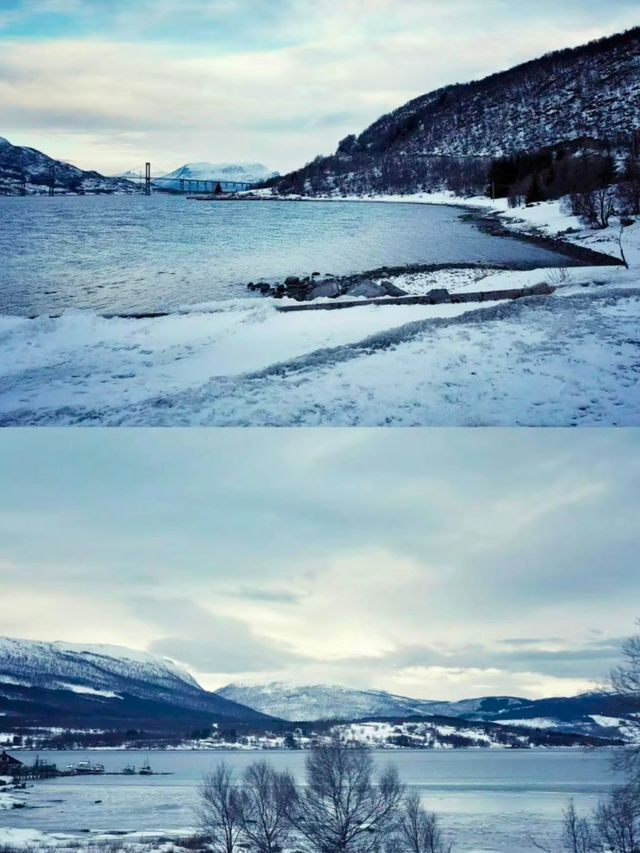 極光森林奇幻夜