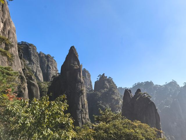 聽我的，不費腿看美景