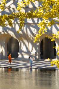 牛首山秋季限定「金」景，已閃亮登場！