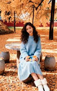 賞銀杏來這裡就對啦