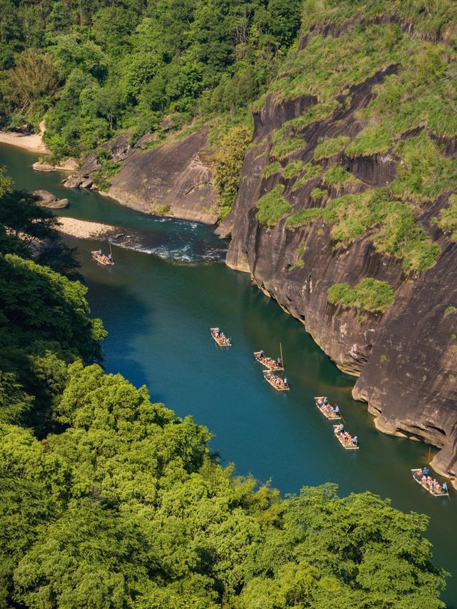 武夷山秋日秘境，美到窒息的旅行攻略