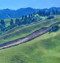 在庫爾德寧,我找到了雪山草原的終極形態!