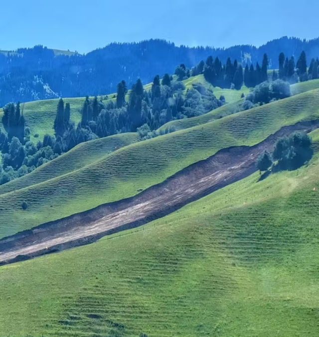 在庫爾德寧,我找到了雪山草原的終極形態! 在庫爾德寧,我找到了雪山草原的終極形態!