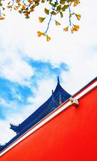 南京必打卡！紅牆銀杏出片神地，比故宮人少好看！