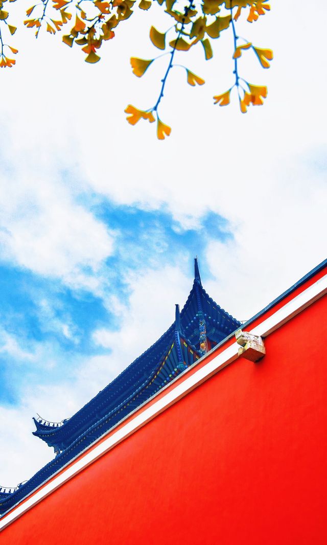 南京必打卡！紅牆銀杏出片神地，比故宮人少好看！