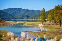 上海3h直達!初冬闖入畫龍村,在浙東古道邂逅瀑布梯田與治癒