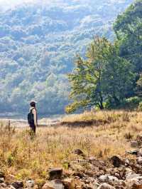 上海3h直達!初冬闖入畫龍村,在浙東古道邂逅瀑布梯田與治癒