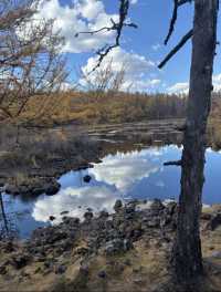 被（國家地理）評為中國5A最美秋色的阿爾山太美了