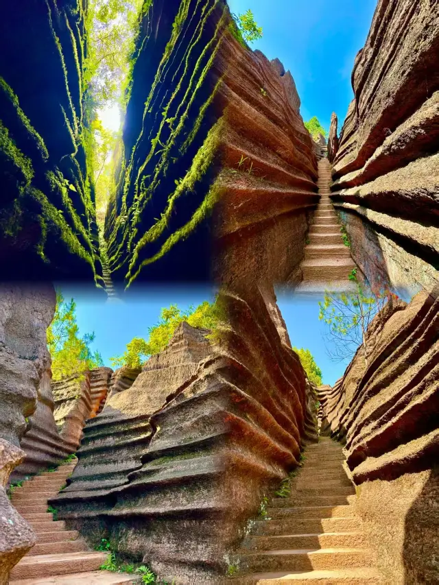 Red Stone Forest National Geopark: The Cambrian "Golden Nail" 