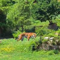 瀋陽必打卡的6大景點｜歷史與自然的雙重奏