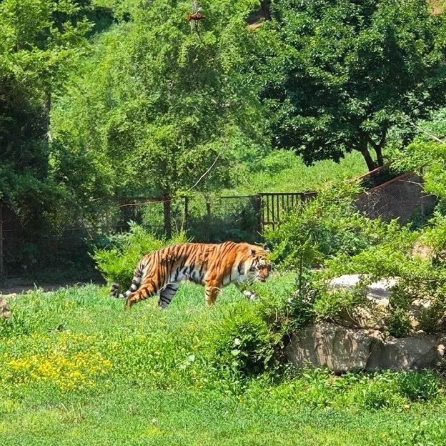 瀋陽必打卡的6大景點｜歷史與自然的雙重奏