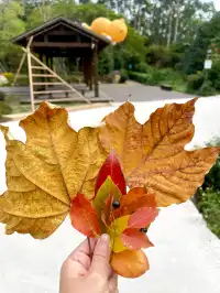 泉州好去處14/100｜新建空中步道路線