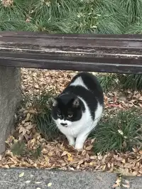 鐘山景區一日遊攻略 反方向路線避開人流