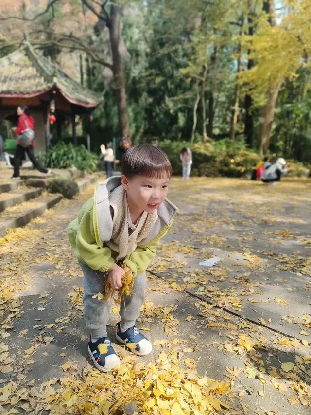 都江堰靈巖寺最容易領的獎牌