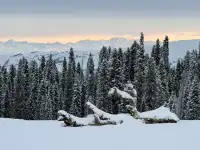 18張圖記錄我的賽里木湖庫爾德寧冰雪之旅