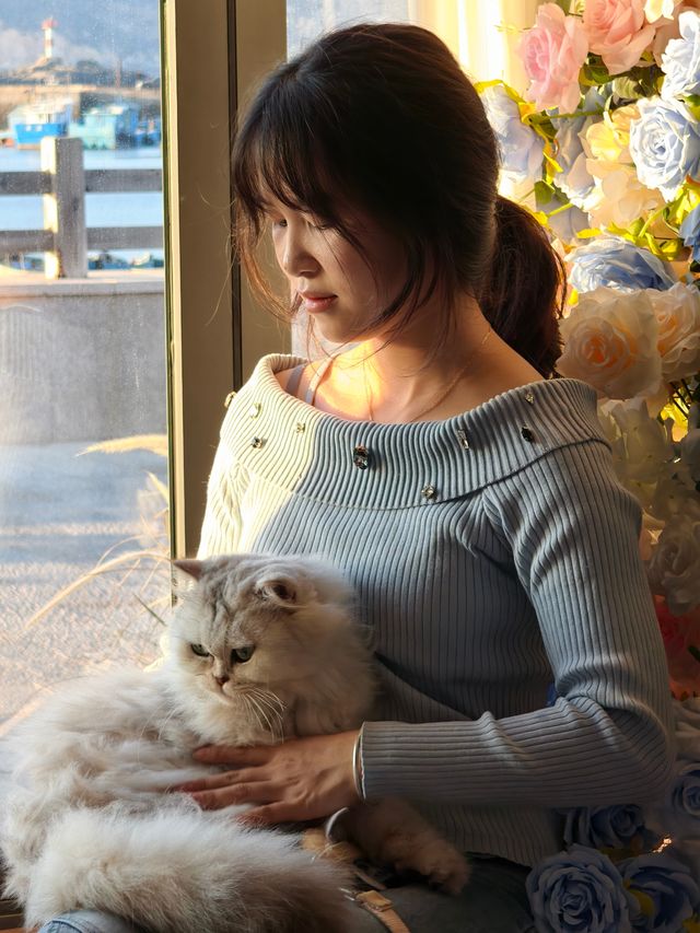 平潭這家海景民宿也太治癒了！面朝大海撸貓太幸福