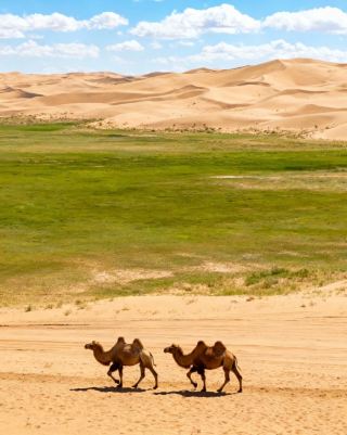 우중 보모급 가이드와 함께하는 절경 여행