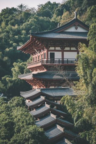 The hidden Tang-style charm by Jiulong Lake, a Zen encounter across a thousand years