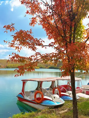 露水河森林旅遊指南