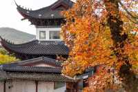 湖州冬日漫遊指南｜周邊5個寶藏地，藏著江南最暖的冬韻