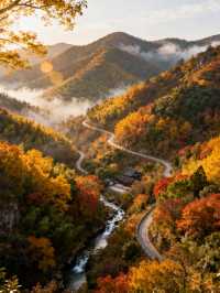 秋色限定江浙滬8個絕美古村落，避開人潮賞秋攻略