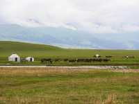 冬天必衝巴音郭楞等地美景等你探