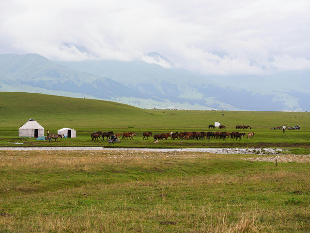 冬天必衝巴音郭楞等地美景等你探